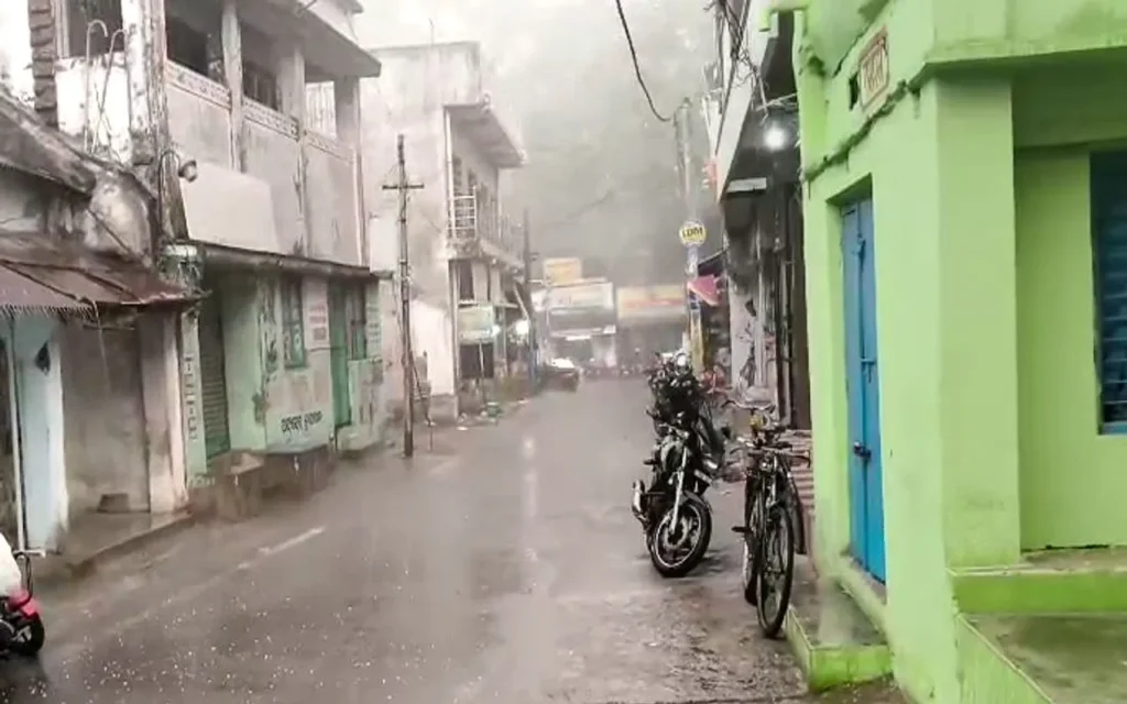 Fallen tree on damaged house during storm