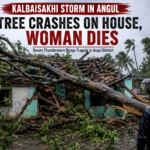 Kalbaisakhi storm in Angul damaged house after tree collapse