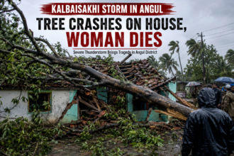 Kalbaisakhi storm in Angul damaged house after tree collapse