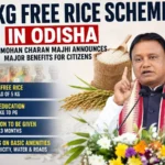10 Kg Free Rice