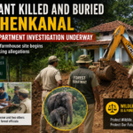 Elephant Killed and Buried in Dhenkanal Investigation Site